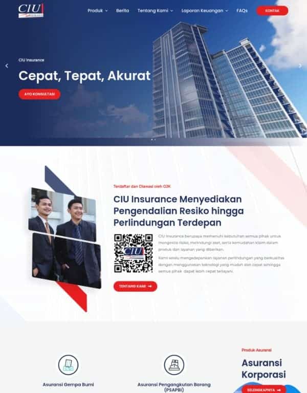 ciuinsurance.com